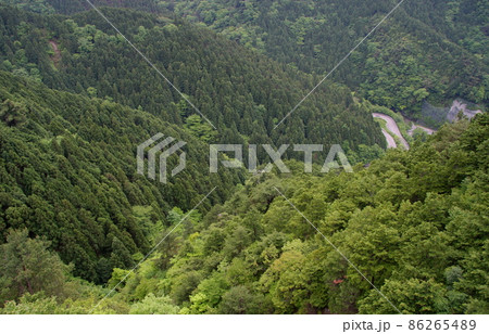 一面樹木の深い山奥と、僅かに見える道路のカーブ（見下ろすアングル） 86265489