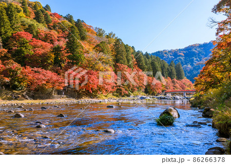 紅葉の名所香嵐渓　愛知県豊田市 86266378