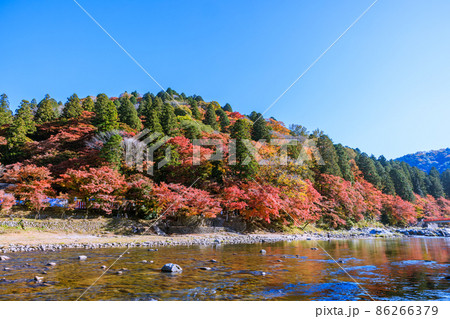 紅葉の名所香嵐渓 愛知県豊田市 紅葉の名所香嵐渓 愛知県豊田市 86266379