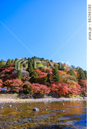 紅葉の名所香嵐渓 愛知県豊田市 紅葉の名所香嵐渓 愛知県豊田市 86266380