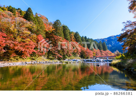 紅葉の名所香嵐渓 愛知県豊田市 紅葉の名所香嵐渓 愛知県豊田市 86266381