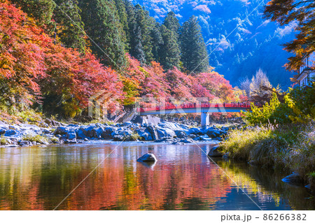 紅葉の名所香嵐渓 愛知県豊田市 紅葉の名所香嵐渓 愛知県豊田市 86266382
