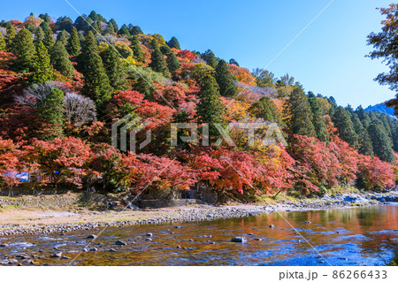 紅葉の名所香嵐渓　愛知県豊田市 86266433