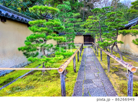 京都、大徳寺高桐院の入り口 86266949