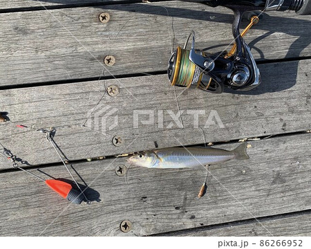 ちょい投げ釣り 海釣り シロギス キス釣り ちょい投げ釣り 海釣り シロギス キス釣り 86266952