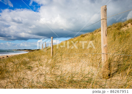 Sand dune and fence on a beach, Re Island, France Sand dune and fence on a beach, Re Island, France 86267951