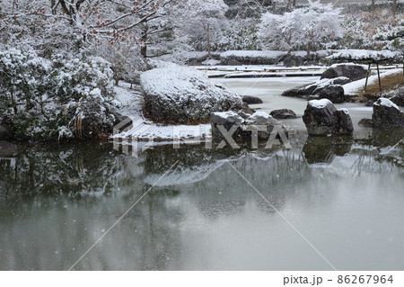 雪の降る日に薄氷の張った公園の池 雪の降る日に薄氷の張った公園の池 86267964