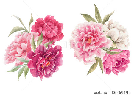Beautiful floral set with watercolor hand drawn peony flower bouquets. Stock illustration. Beautiful floral set with watercolor hand drawn peony flower bouquets. Stock illustration. 86269199