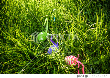 Decorated easter eggs in grass on sunny warm spring day. Traditional egg hunt concept Decorated easter eggs in grass on sunny warm spring day. Traditional egg hunt concept 86269832