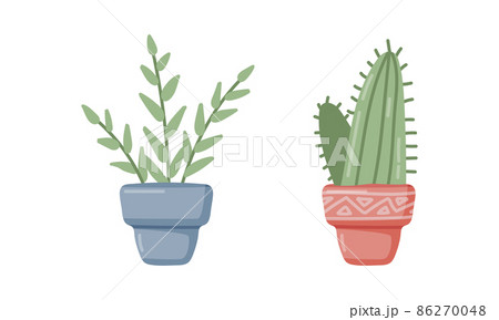 Home Plant in Pot as House Interior Decorative Object Vector Set Home Plant in Pot as House Interior Decorative Object Vector Set 86270048