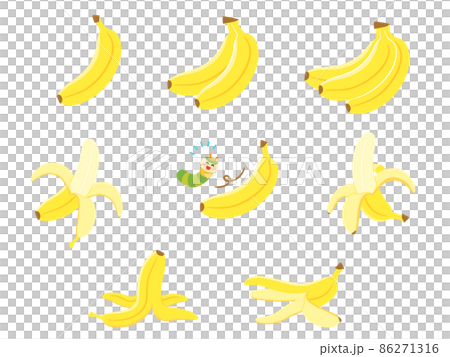 Fruit illustration variety set banana 86271316