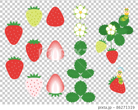 果物イラスト　バラエティセット　いちご 86271319