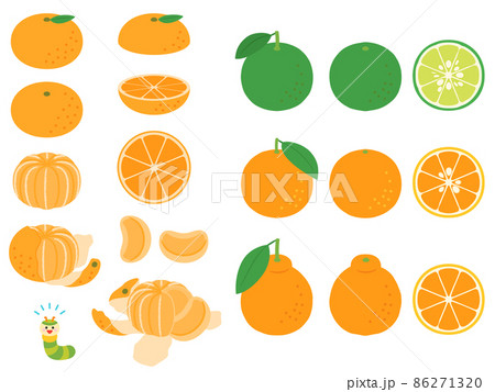 果物イラスト　バラエティセット　柑橘類 86271320