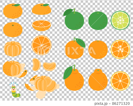 果物イラスト　バラエティセット　柑橘類 86271320