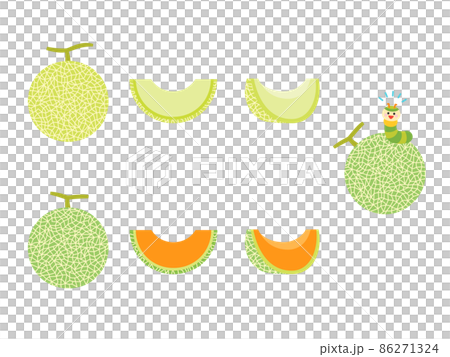 果物イラスト　バラエティセット　メロン 86271324