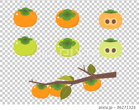 Fruit illustration variety set persimmon Fruit illustration variety set persimmon 86271328