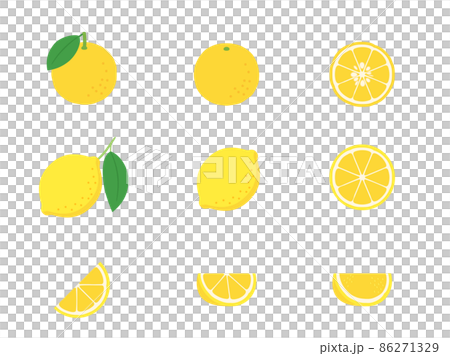 Fruit illustration variety set citrus fruits (yuzu, lemon) 86271329