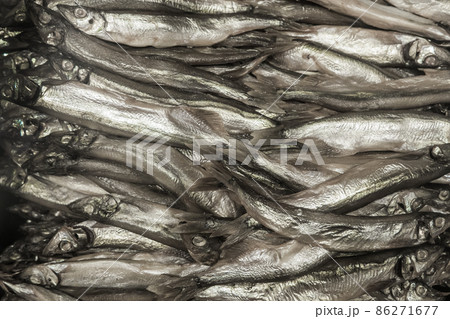 Fish small herring sprat seafood fresh background 86271677