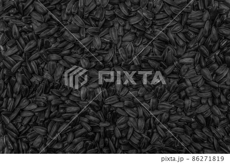 Black sunflower seeds background agriculture organic ingredient Black sunflower seeds background agriculture organic ingredient 86271819