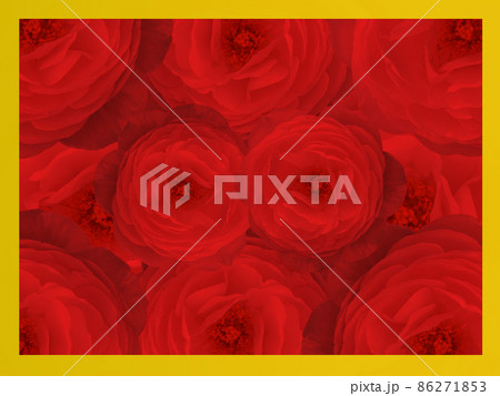 yellow frame on red roses flower bouquet background, banner, template, name card, copy space 86271853