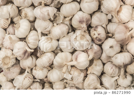 White garlic vegetable raw ingredient food organic background White garlic vegetable raw ingredient food organic background 86271990
