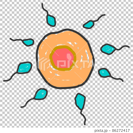 精子が卵子に向かって受精しようとしているイラスト 86272417
