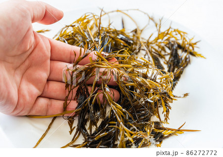 手に取った生のぎばさ 86272772