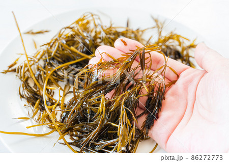 手に取った生のぎばさ 手に取った生のぎばさ 86272773