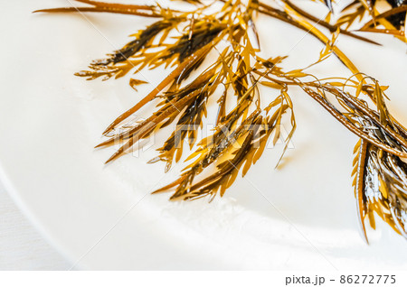 白い皿にのせた生のぎばさ 86272775
