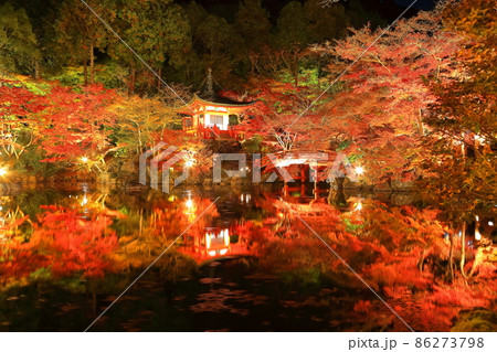 【京都府】醍醐寺の紅葉ライトアップ（夜間拝観） 86273798