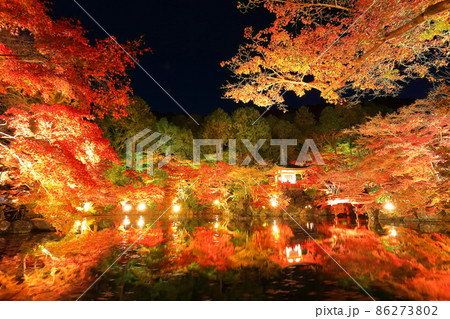 【京都府】醍醐寺の紅葉ライトアップ(夜間拝観) 【京都府】醍醐寺の紅葉ライトアップ(夜間拝観) 86273802