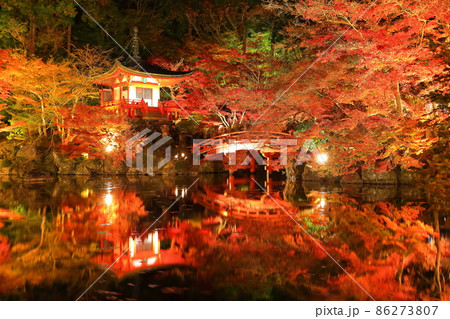 【京都府】醍醐寺の紅葉ライトアップ（夜間拝観） 86273807