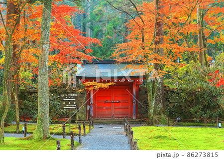 【京都府】紅葉の京都大原三千院 朱雀門 【京都府】紅葉の京都大原三千院 朱雀門 86273815