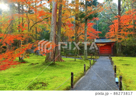 【京都府】紅葉の京都大原三千院　朱雀門 86273817