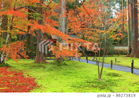 【京都府】紅葉の京都大原三千院 朱雀門 【京都府】紅葉の京都大原三千院 朱雀門 86273819