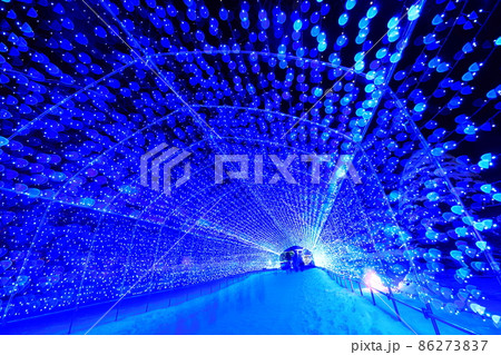 小岩井イルミネーション2021 86273837