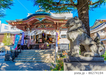 東京 浅草七福神めぐり 今戸神社の狛犬 東京 浅草七福神めぐり 今戸神社の狛犬 86274194