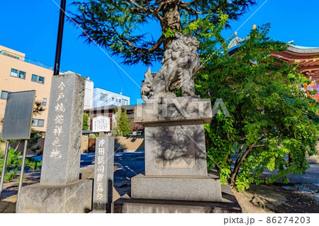 東京 浅草七福神めぐり 今戸神社の狛犬 東京 浅草七福神めぐり 今戸神社の狛犬 86274203