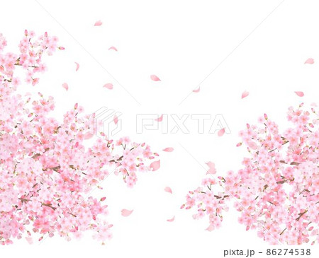 美しく華やかな満開の桜の花と花びら舞い散る春の白バック縦フレームベクター素材イラスト 86274538