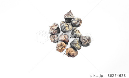 Isolated dried brown teak seeds on white background Isolated dried brown teak seeds on white background 86274628