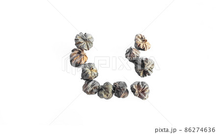 Isolated dried brown teak seeds on white background Isolated dried brown teak seeds on white background 86274636