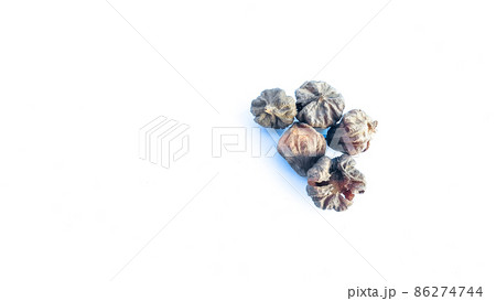 Isolated dried brown teak seeds on white background Isolated dried brown teak seeds on white background 86274744