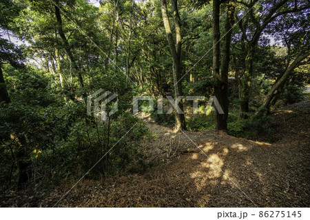 吉田展望台 小山城 三重堀 静岡県吉田町 吉田展望台 小山城 三重堀 静岡県吉田町 86275145