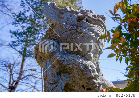 右側狛犬正面下から 86275179