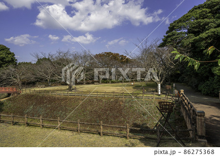 吉田展望台　小山城　堀　静岡県吉田町 86275368