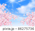 美しく華やかな桜の花と花びら舞い散る春の爽やか青空に光差し込む雲のフレーム背景ベクター素材イラスト 86275736