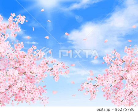 美しく華やかな桜の花と花びら舞い散る春の爽やか青空に光差し込む雲のフレーム背景ベクター素材イラスト 86275736