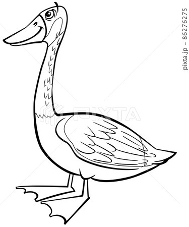 cartoon wild goose bird animal character coloring book page cartoon wild goose bird animal character coloring book page 86276275