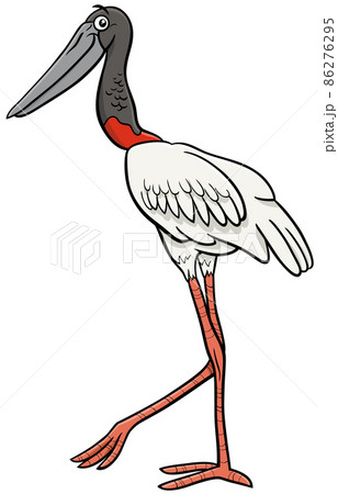 jabiru bird animal character cartoon illustration 86276295