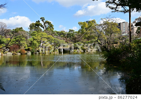 相楽園の池泉回遊式日本庭園の池 相楽園の池泉回遊式日本庭園の池 86277024